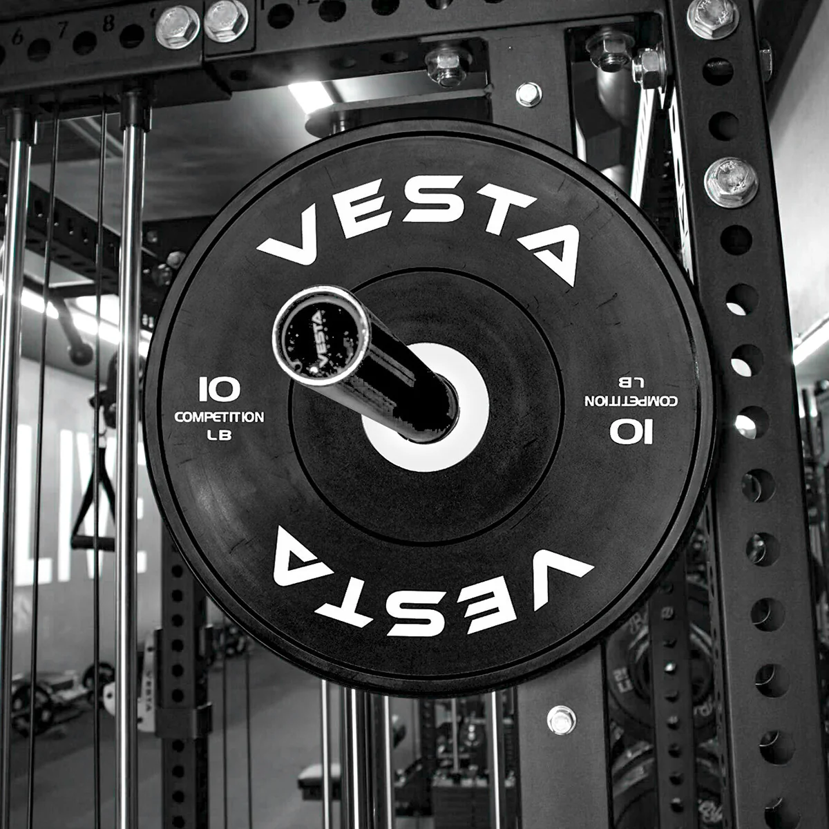 Competition Bumper Plates - Image 12