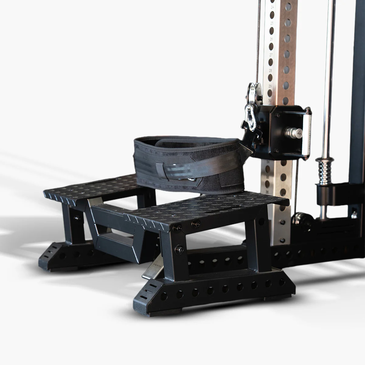 Belt Squat / Multi-Function Platform (BACKORDERED) - Image 4